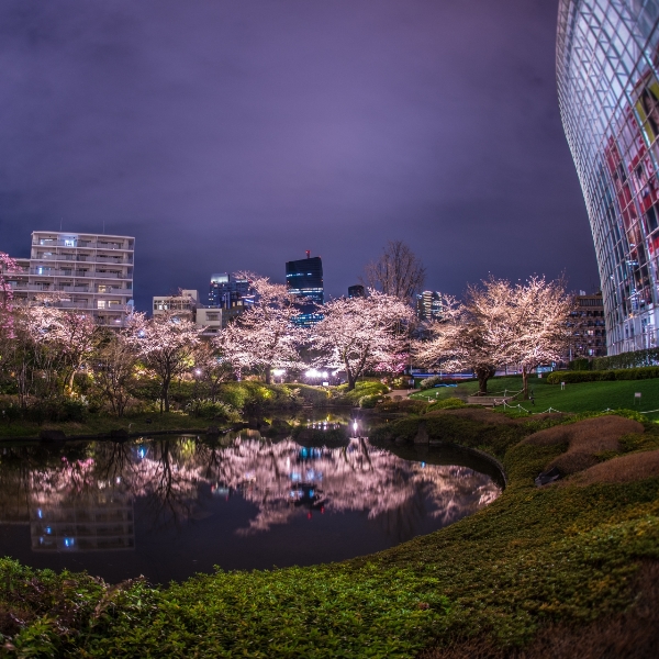 毛利庭園 画像