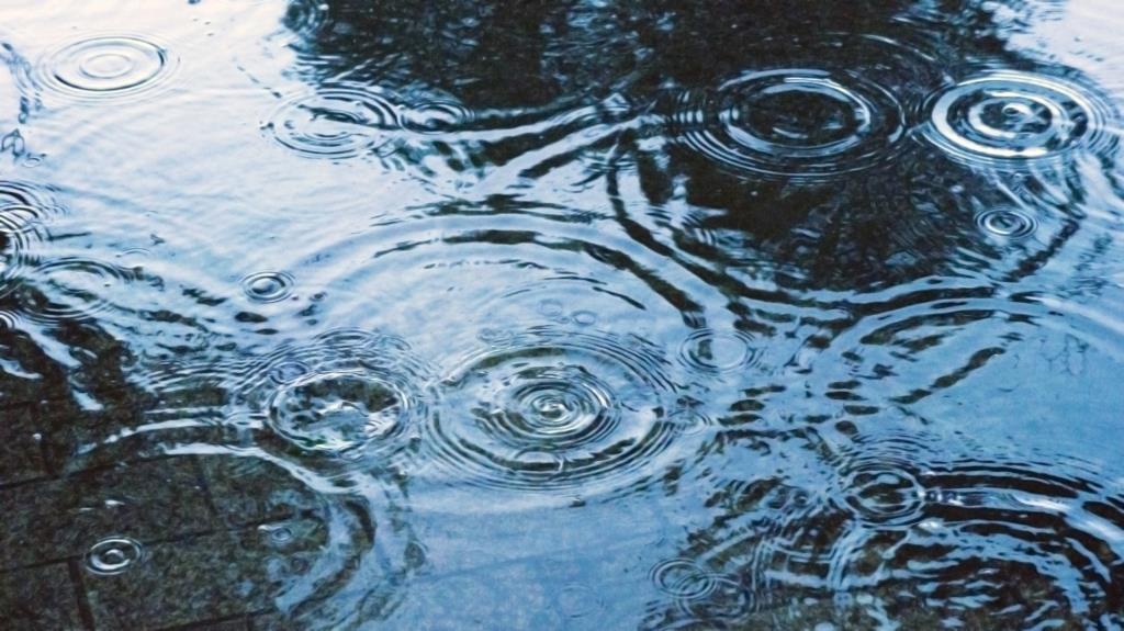 雨の日の「簡単」革靴メンテナンス方法！